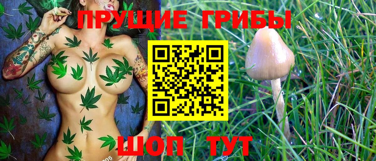Тулун  Псилоцибиновые грибы ЛСД  Вход с VPN 