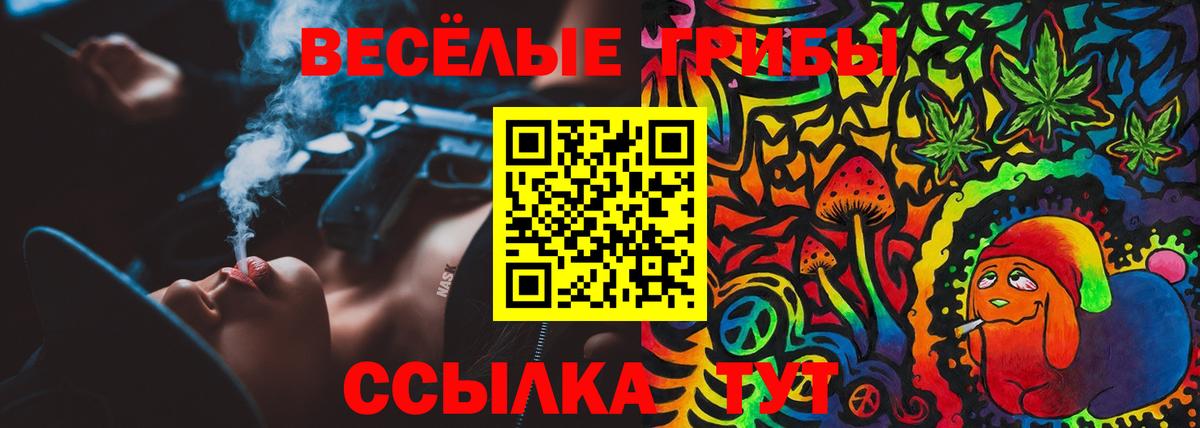 Галлюциногенные грибы ЛСД Тулун